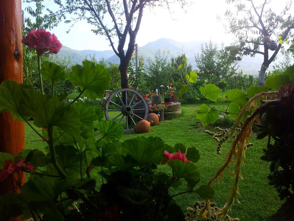 Къща За Гости Каза Роза - Swiss Style Chalet Casa Rosa Guest House Kyustendil Quarto foto